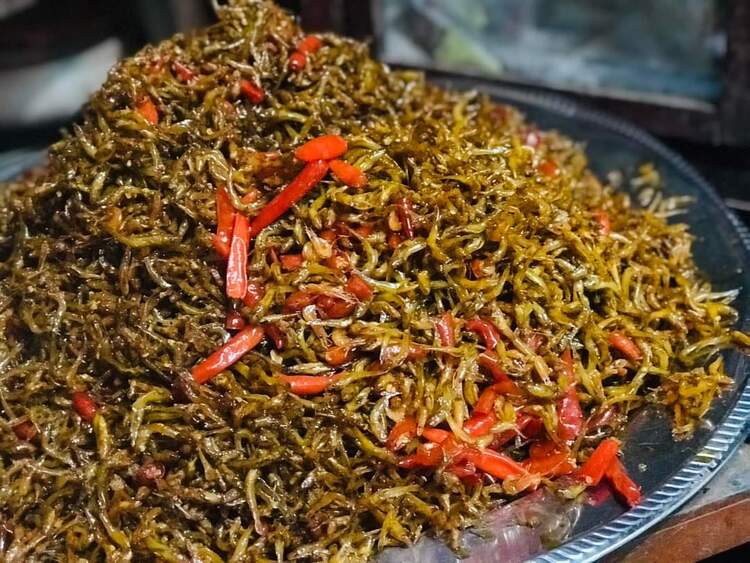 Cá bống sông Trà